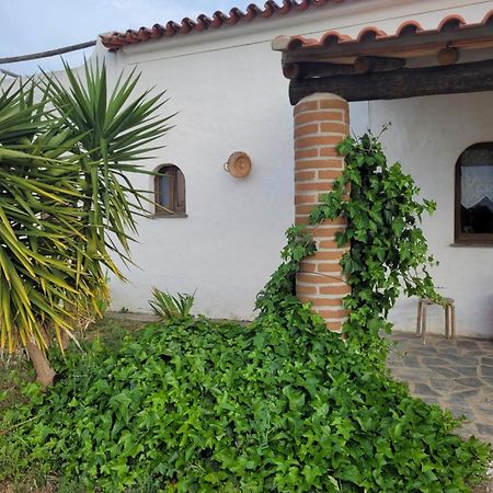 Villa Quinta Da Belavista Reguengos de Monsaraz Exterior foto